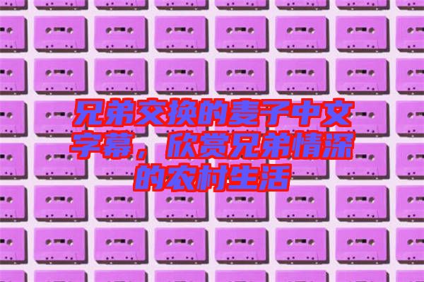 兄弟交換的麥子中文字幕，欣賞兄弟情深的農村生活