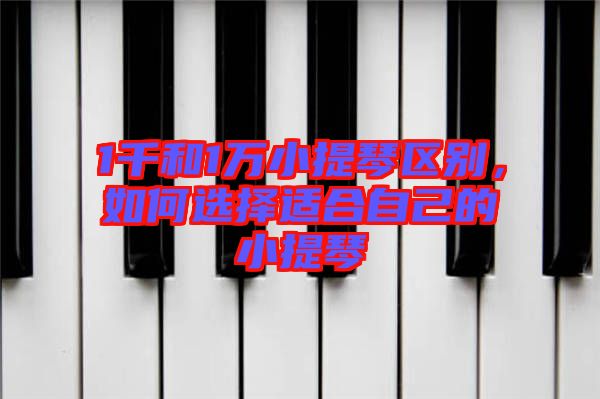 1千和1萬小提琴區別，如何選擇適合自己的小提琴