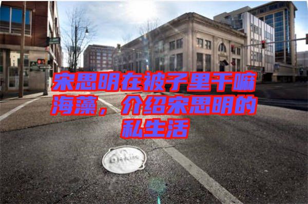 宋思明在被子里干嘛海藻，介紹宋思明的私生活