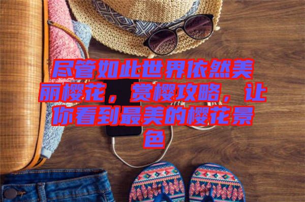 盡管如此世界依然美麗櫻花，賞櫻攻略，讓你看到最美的櫻花景色