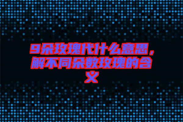 9朵玫瑰代什么意思，解不同朵數玫瑰的含義
