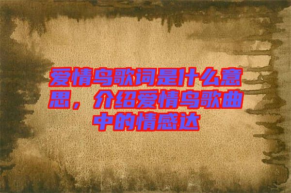 愛(ài)情鳥(niǎo)歌詞是什么意思，介紹愛(ài)情鳥(niǎo)歌曲中的情感達(dá)