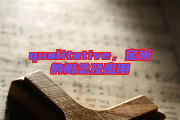 qualitative，定析的概念及應用