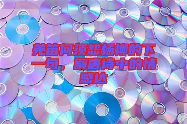 羌笛何須怨楊柳的下一句，解唐詩中的情感達(dá)