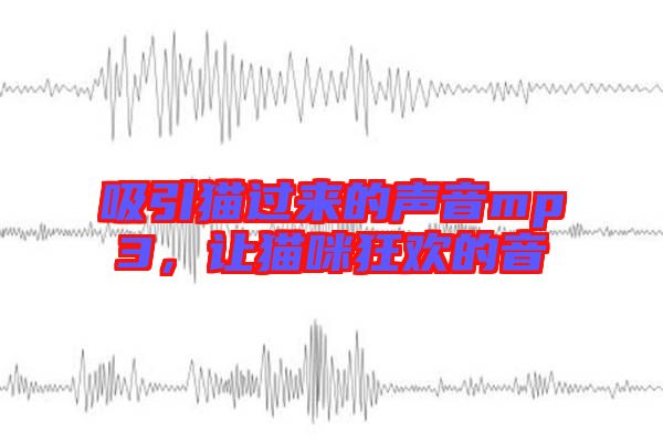 吸引貓過來的聲音mp3，讓貓咪狂歡的音
