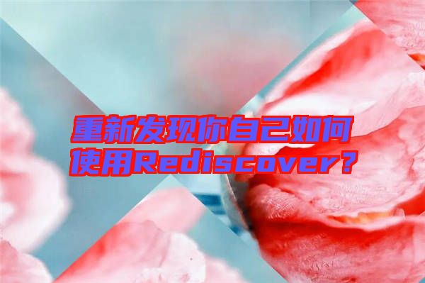 重新發現你自己如何使用Rediscover？