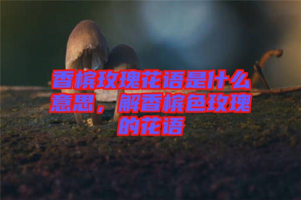 香檳玫瑰花語是什么意思，解香檳色玫瑰的花語