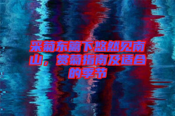 采菊東籬下悠然見南山，賞菊指南及適合的季節