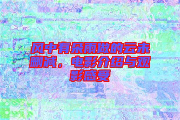 風中有朵雨做的云未刪減，電影介紹與觀影感受