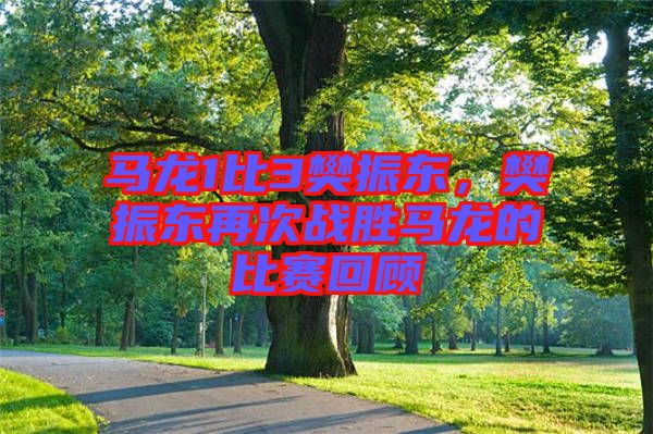 馬龍1比3樊振東，樊振東再次戰勝馬龍的比賽回顧