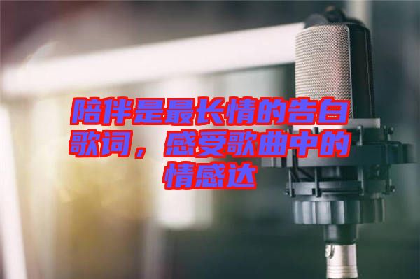陪伴是最長情的告白歌詞，感受歌曲中的情感達